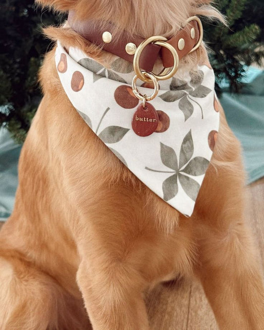 Colorful Bandana
