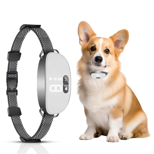 Tracking Leash